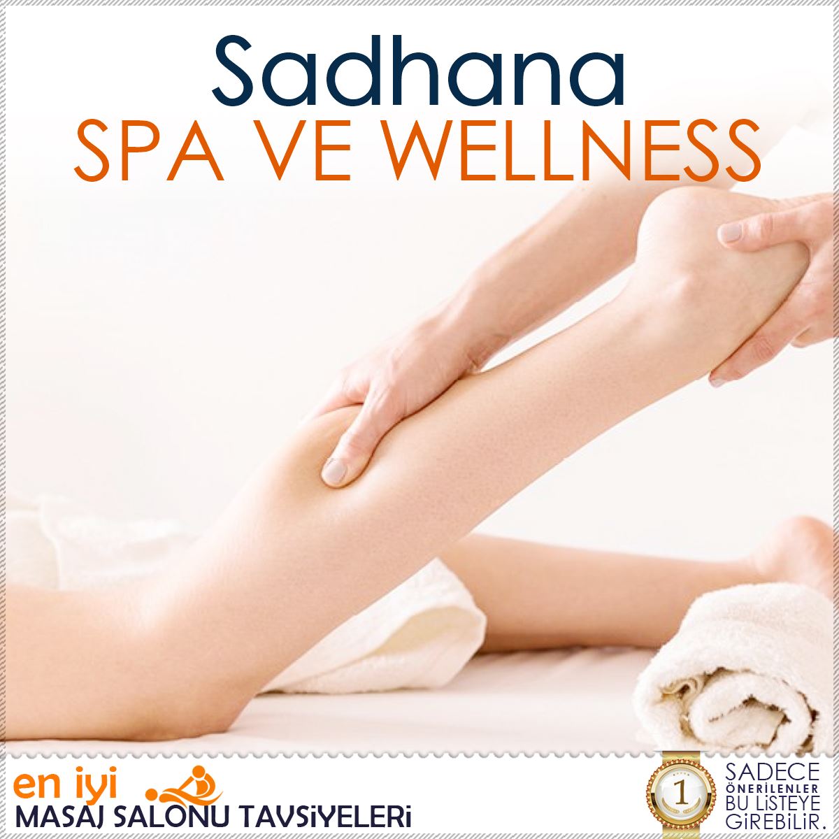 Sadhana Spa Ve Wellness logo
